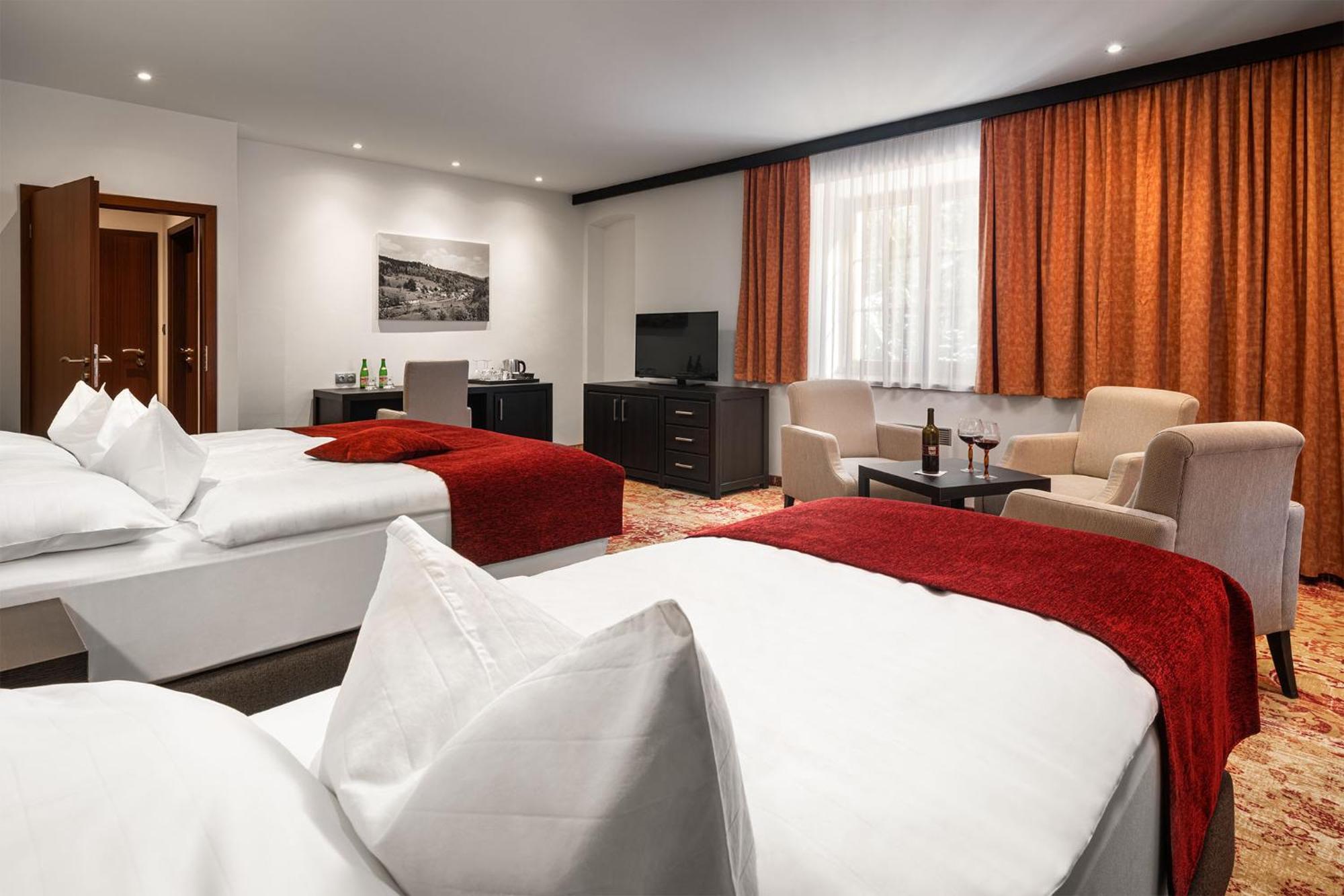 Hotel Singer Ludvíkov Rom bilde